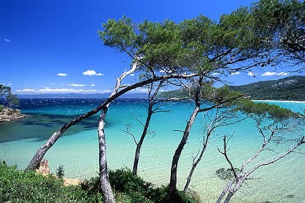Villa Saint-Come, Du Grand Luxe A 1 Min De La Mer Hyères Exterior foto
